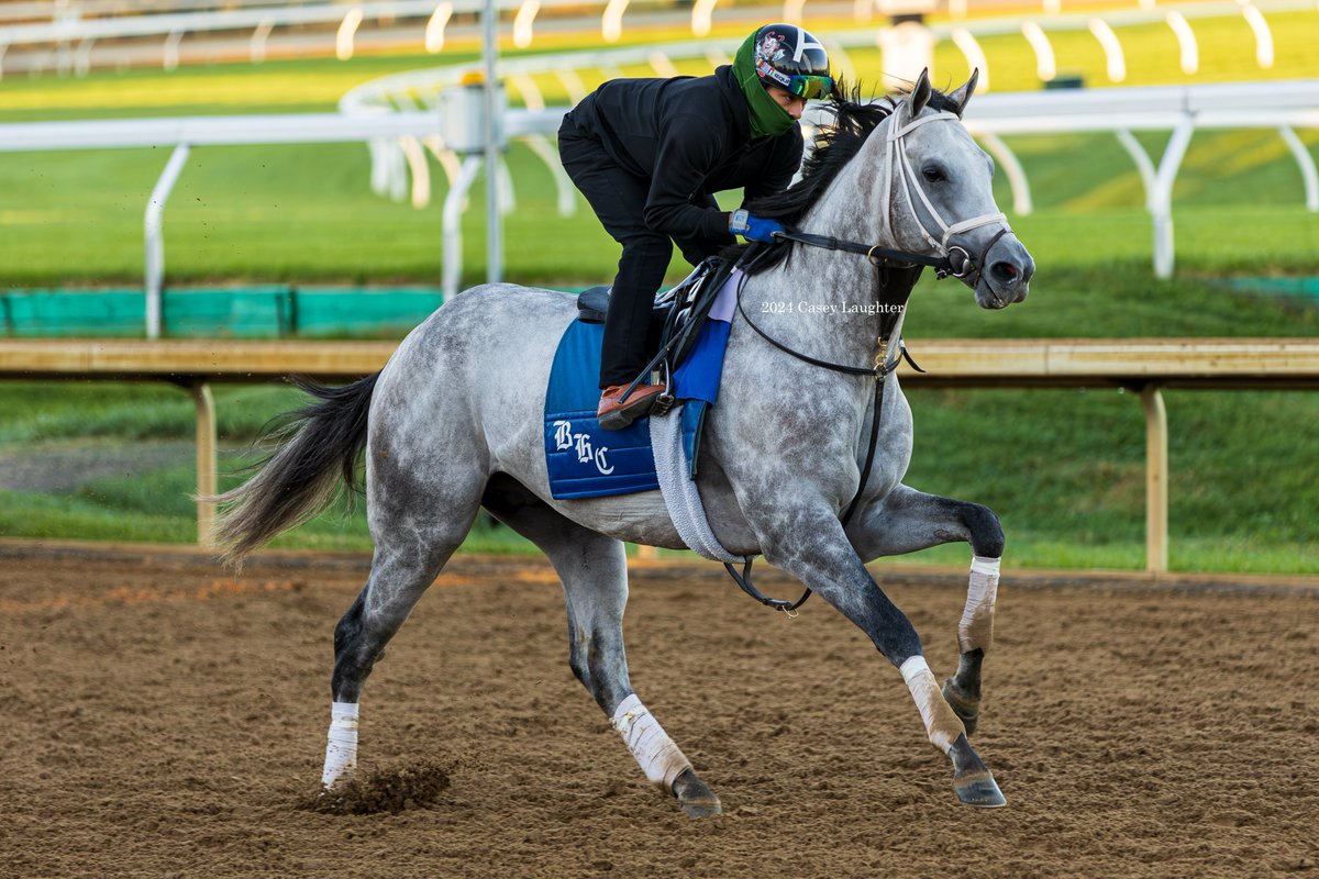 casey_laughter's tweet photo. #SaudiCrown (#AlwaysDreaming) galloping at #Keeneland in preparation for a possible start in the Fayette Stakes at the end of the meet. https://t.co/LCakyhIJO2