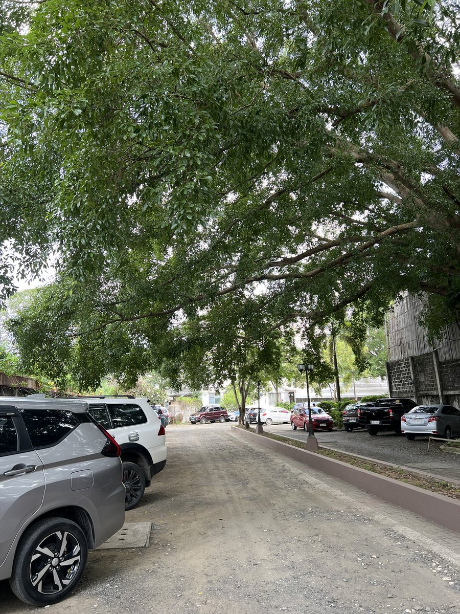 reignbowing's tweet photo. Thank G may nagwa so I can park here today. Anyone in UP Molo campus who can lend me a sticker pass? Or ma-enroll nalang gid ko para may parking. 😅 https://t.co/s1SGi4MUp7
