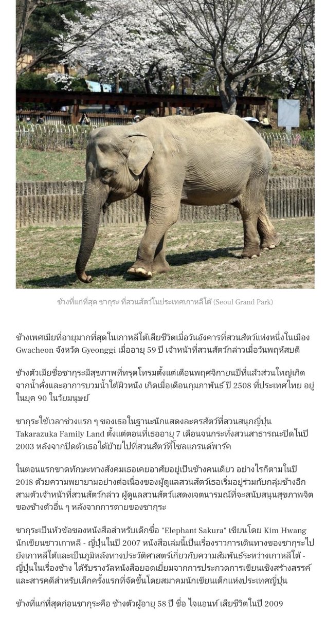 K. fan tweet media