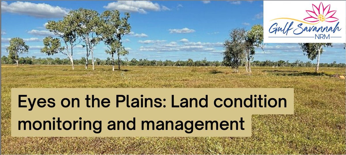 NRM Regions Queensland (@nrmregionsqld) on Twitter photo Long-term climate forecasts predict a decrease in annual rainfall and an increase in temps across the Northern Gulf, so land managers need support to upgrade infrastructure & improve sustainability practices. <a href="/GulfNrm/">Gulf Savannah NRM</a> is helping these landholders prepare: buff.ly/4daVrLJ Long-term climate forecasts predict a decrease in annual rainfall and an increase in temps across the Northern Gulf, so land managers need support to upgrade infrastructure & improve sustainability practices. <a href="/GulfNrm/">Gulf Savannah NRM</a> is helping these landholders prepare: buff.ly/4daVrLJ
