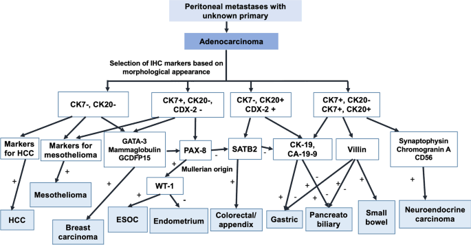 Histopathological Evaluation and Molecular Diagnostic Tests for Peritoneal Metastases with Unknown Primary Site 🔬

link.springer.com/article/10.100…