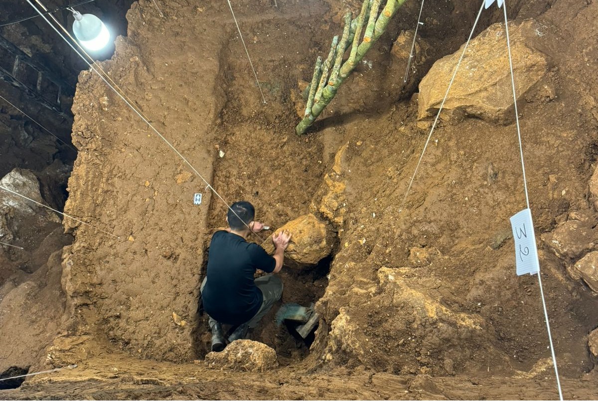 Australian Science Media Centre (@aussmc) on Twitter photo 🪨Fossils and fires: <a href="/Flinders/">Flinders University</a>, <a href="/Macquarie_Uni/">Macquarie University</a> and <a href="/SCU_Australia/">Southern Cross University</a> research provides insights into early modern human activity in the jungles of Southeast Asia
🔥See more: scimex.org/newsfeed/fossi… 🪨Fossils and fires: <a href="/Flinders/">Flinders University</a>, <a href="/Macquarie_Uni/">Macquarie University</a> and <a href="/SCU_Australia/">Southern Cross University</a> research provides insights into early modern human activity in the jungles of Southeast Asia
🔥See more: scimex.org/newsfeed/fossi…
