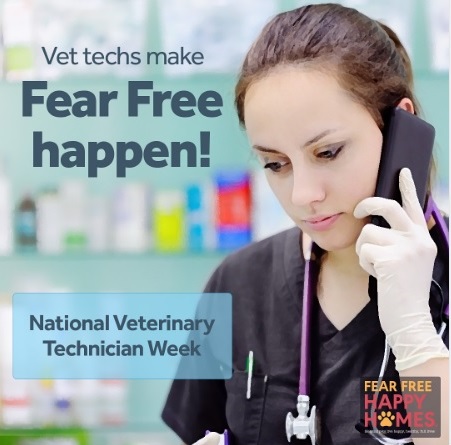 BMAH121's tweet image. Happy National Veterinary Technician Week!!  #BMAH #FearFreeProfessionals