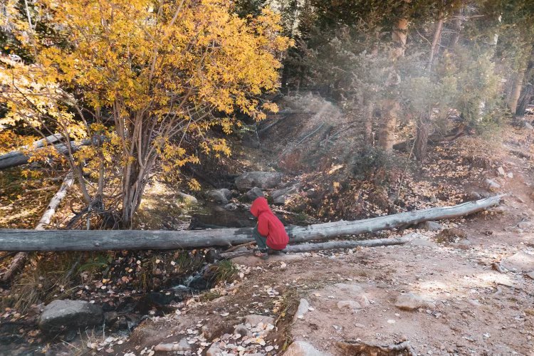 Cassie Boness, PhD tweet media