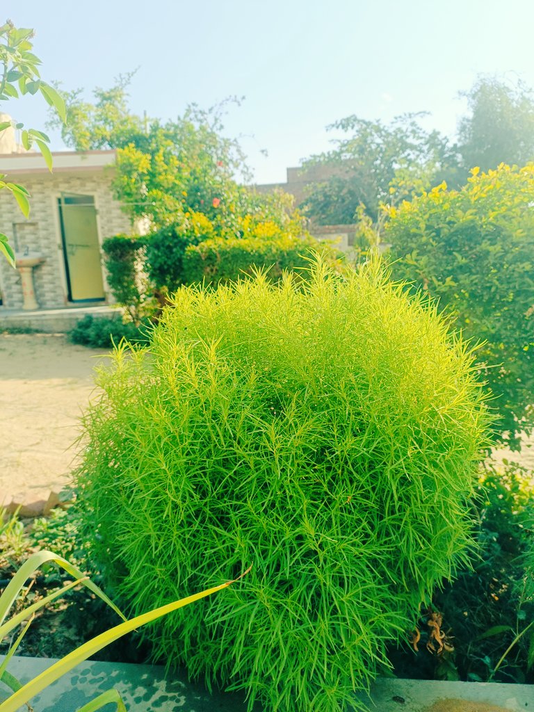 amitsadh14's tweet photo. Morning moment green netur.
#GoodMorning #GoodMorningEveryone #GoodMorningXFriends #netur # https://t.co/00RAHDAlYw