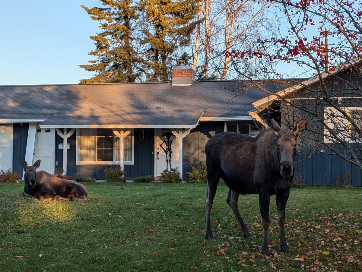 Anna 🐝 Brawley tweet media