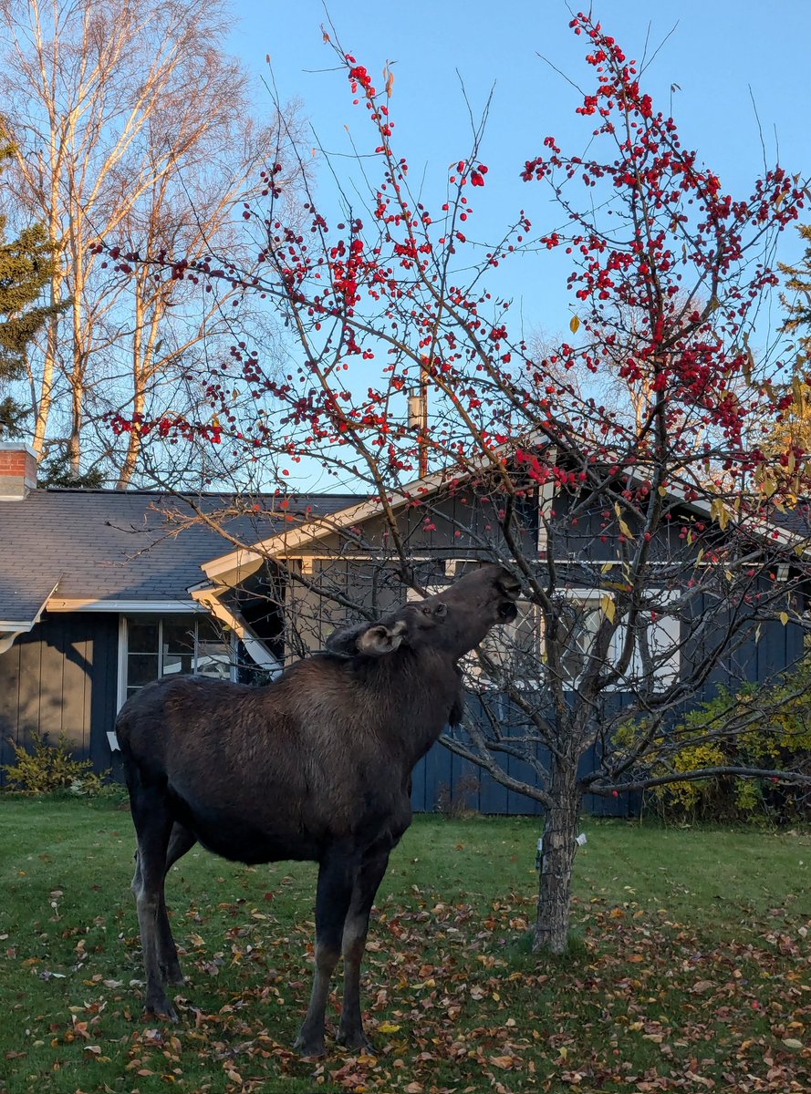 Anna 🐝 Brawley tweet media