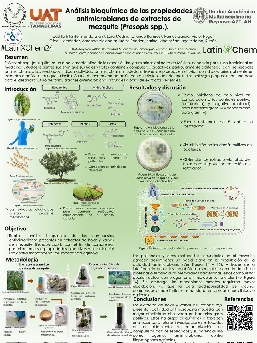 BrendaLili2656's tweet photo. Hola!, es un placer para mí compartirles mi trabajo de investigación "Análisis bioquímico de las propiedades antimicrobianas de extractos de mezquite (Prosopis spp.)." desde Reynosa, Tamaulipas, México. Gracias. #LatinXChem24
@LatinXChem #UAT #Uamra #Bio33 #LatinXChemBio https://t.co/moBtPFteY1