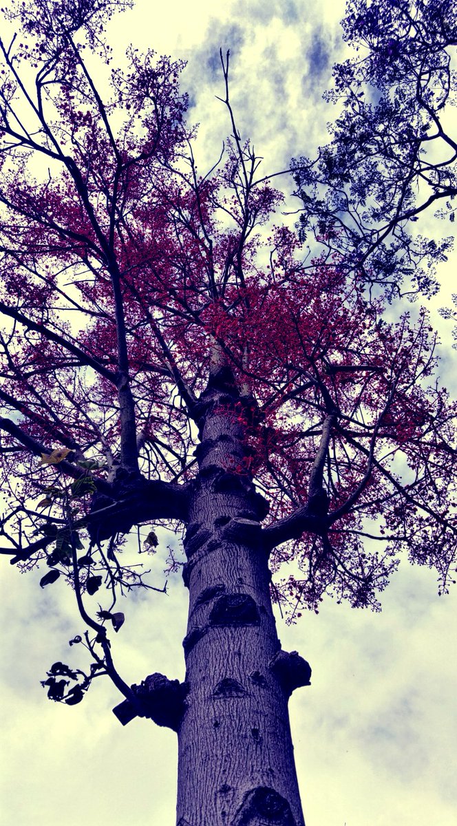 _wiredweird1 tweet picture