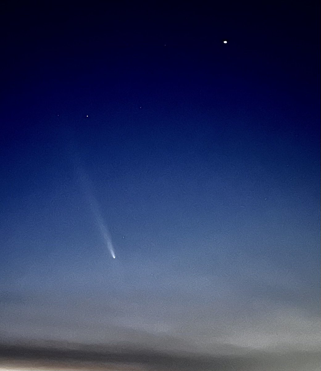 steve arthur 🚀🌱🌶✨ tweet media