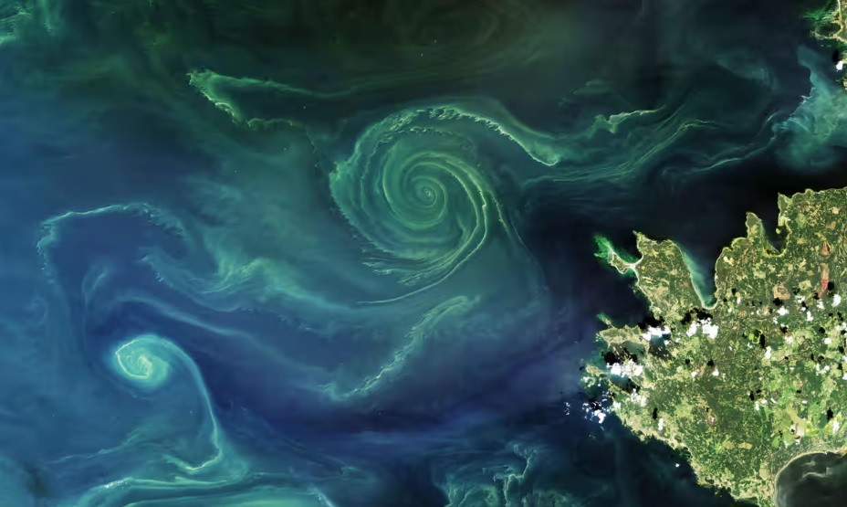 We see more and more how rapidly our global #carbonsinks are weakening, collapsing, and accelerating the catastrophic impacts of our #ClimateCrisis. We cannot wait. We must strengthen our efforts, rethink #emissions, and proactively protect our planet.🌎

theguardian.com/environment/20…