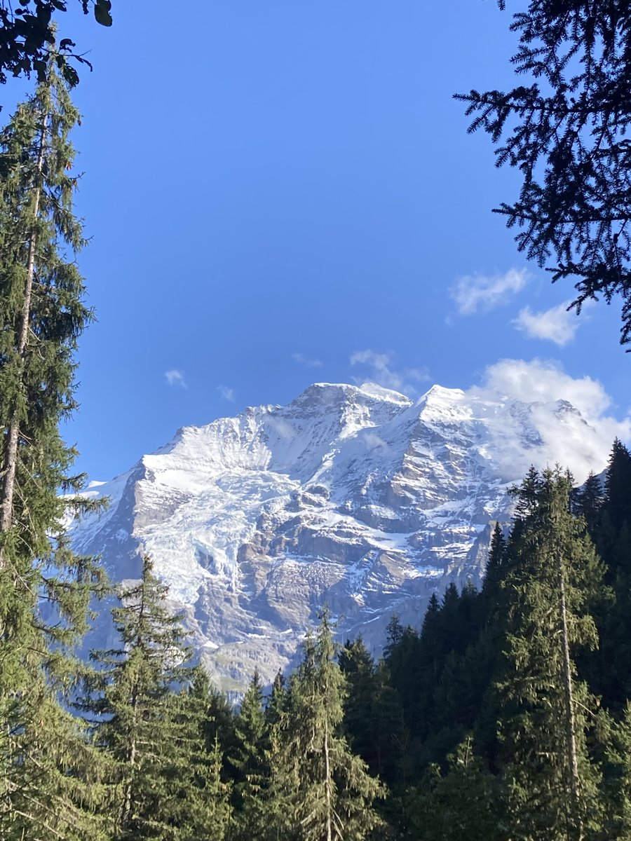 Todd Suttle tweet media