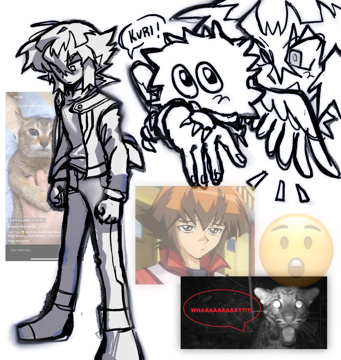 Frankenfurter (MOVED) tweet media