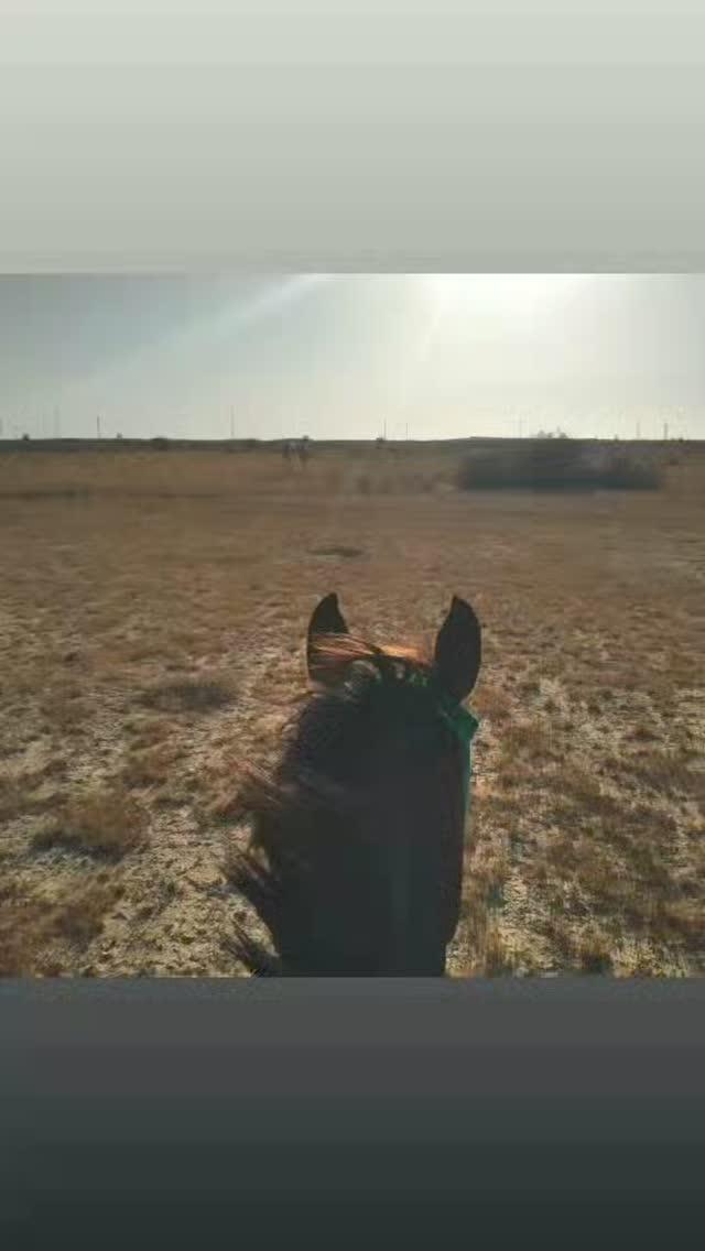 ان قران الفجر كان مشهودا
أتيناهم وهم يصلون وفارقناهم وهم يصلون 
#صباح_الخير_والسعاده_للجميع 
#صلوا_على_الحبيب_محمد_ﷺ