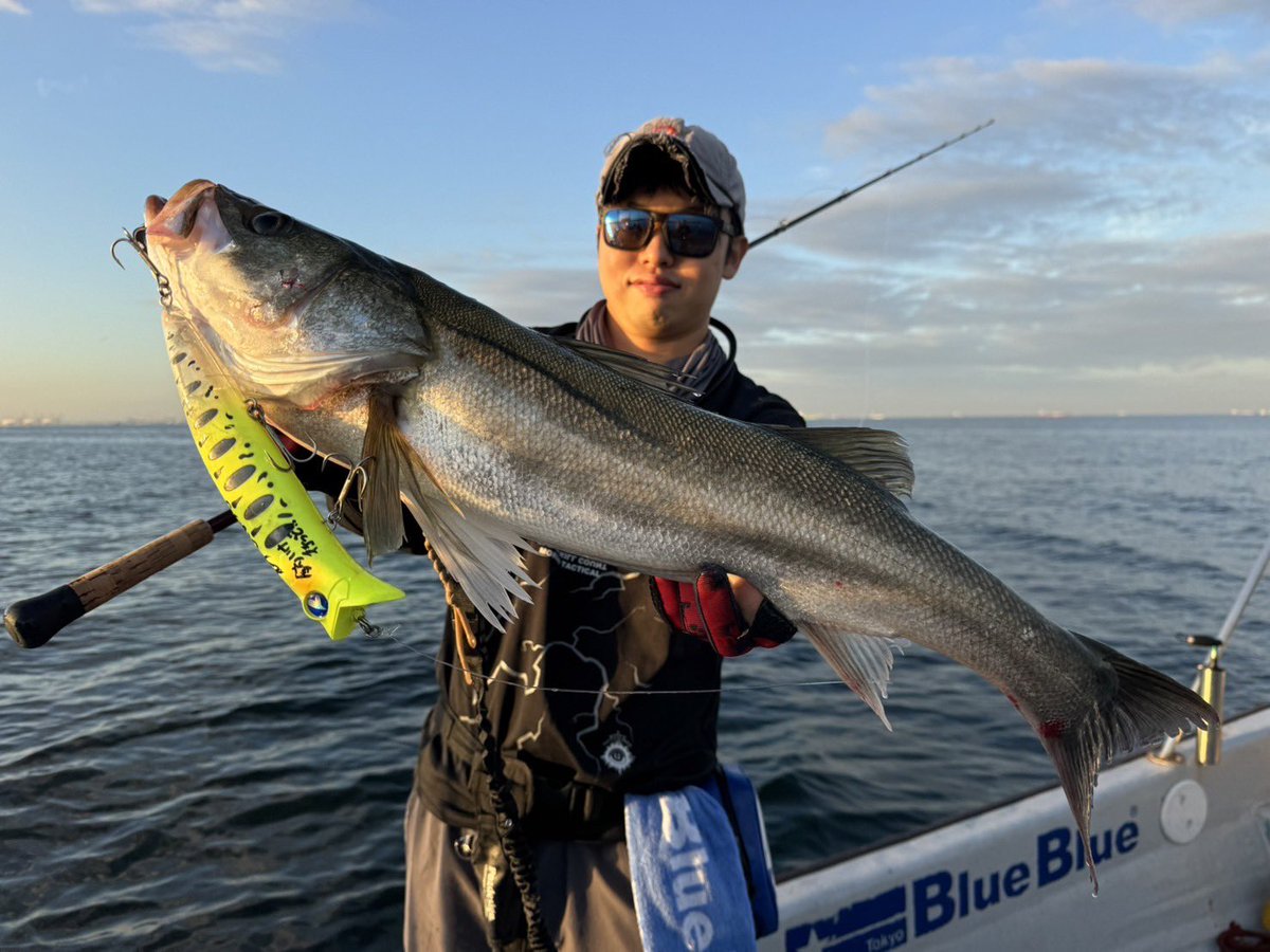 3ilsp9's tweet photo. ガボッツ200で良型のスズキキャッチ🎣
釣りフェスで買ってから使いどころがなかったですが、やっと使える時期になりました😂
湾奥ビッグベイトシーバス開幕してます!
ロッドはお馴染みcomodo7.5H!
#BlueBlue
#ガボッツ200
#Fishman
#comodo75H https://t.co/u1Ke3oNIgx