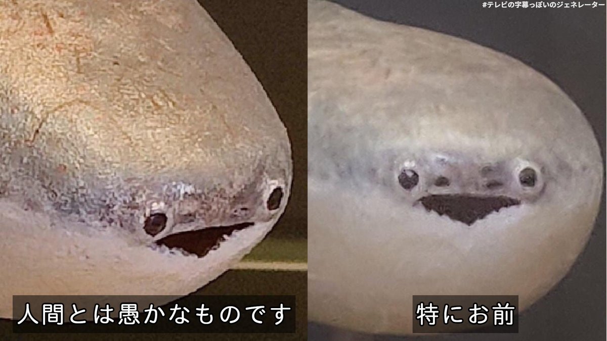 メンタル病んだらこの画像見て寝ろ！選手権

金賞
サカバンバスピス