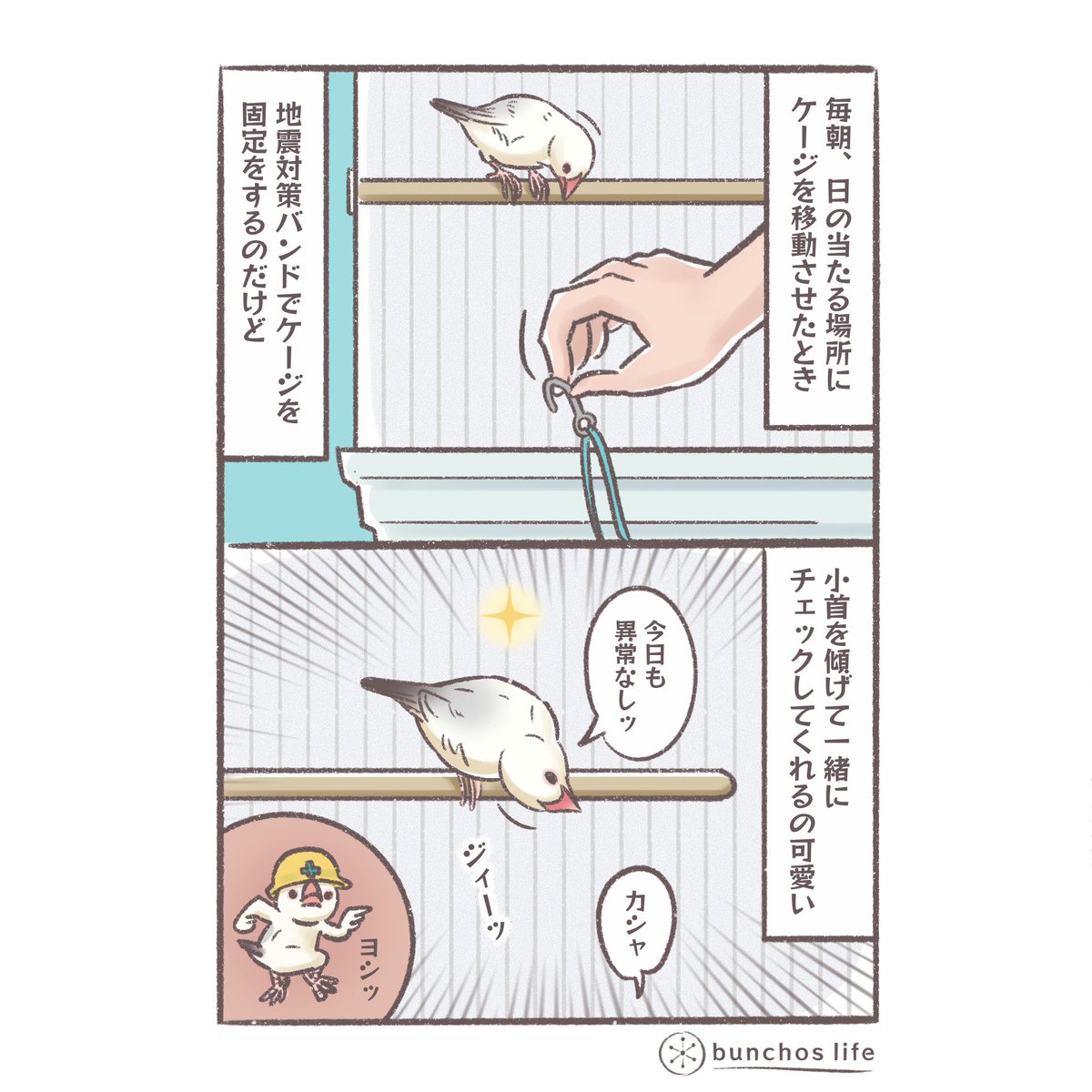 今日は時間がなくて2コマで。
毎朝地震対策のバンドを装着する際、バンドにすっかり慣れて怖がりはしないもののガン見で一緒にチェックしてくれる姿が可愛くて注目ポイントです✨
#文鳥 
#4コマ漫画 