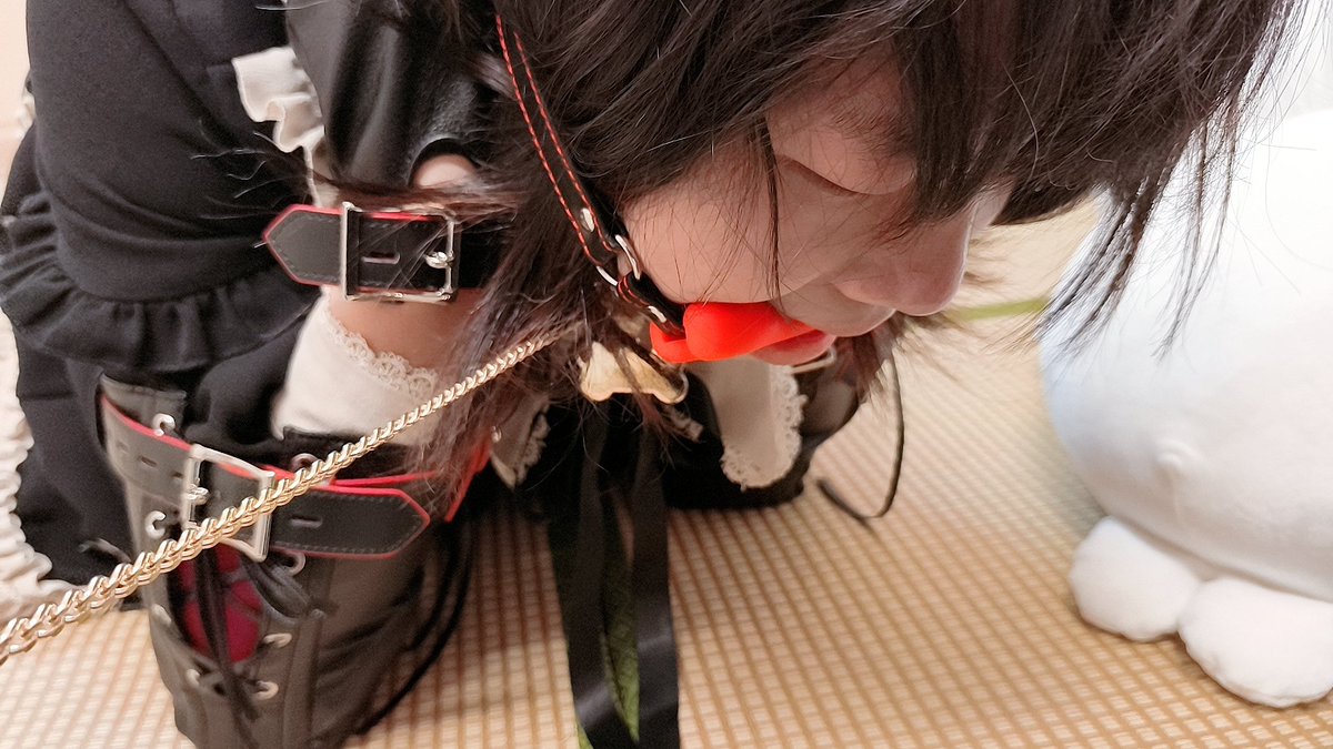 有主人了！会努力当好小狗让主人开心的！@Wuye_bei