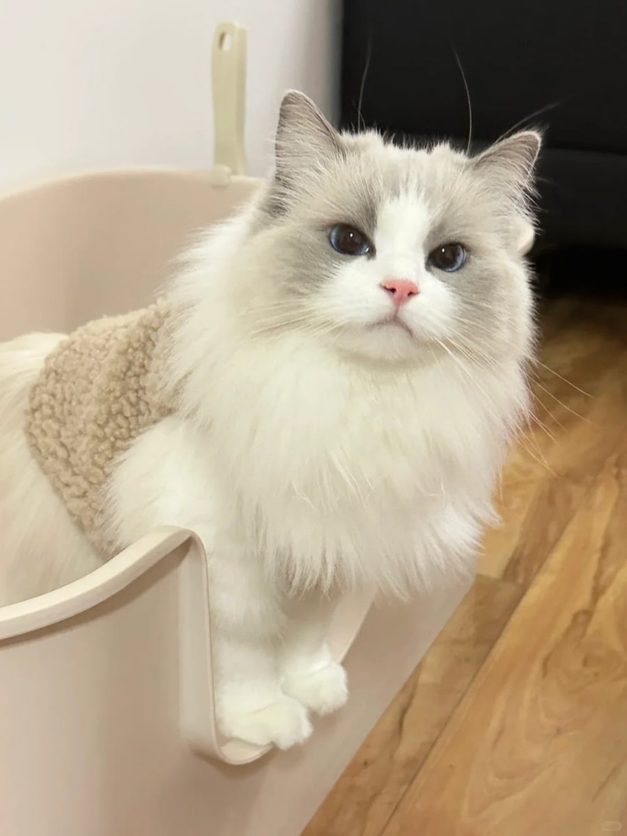 Elizabeth (@elizabeth35dd) on Twitter photo 