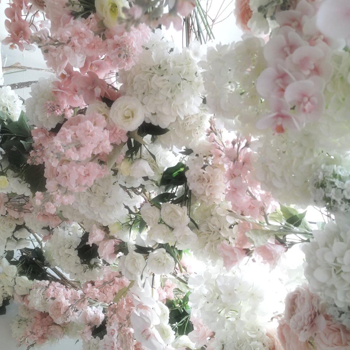 uni_sheruru tweet picture