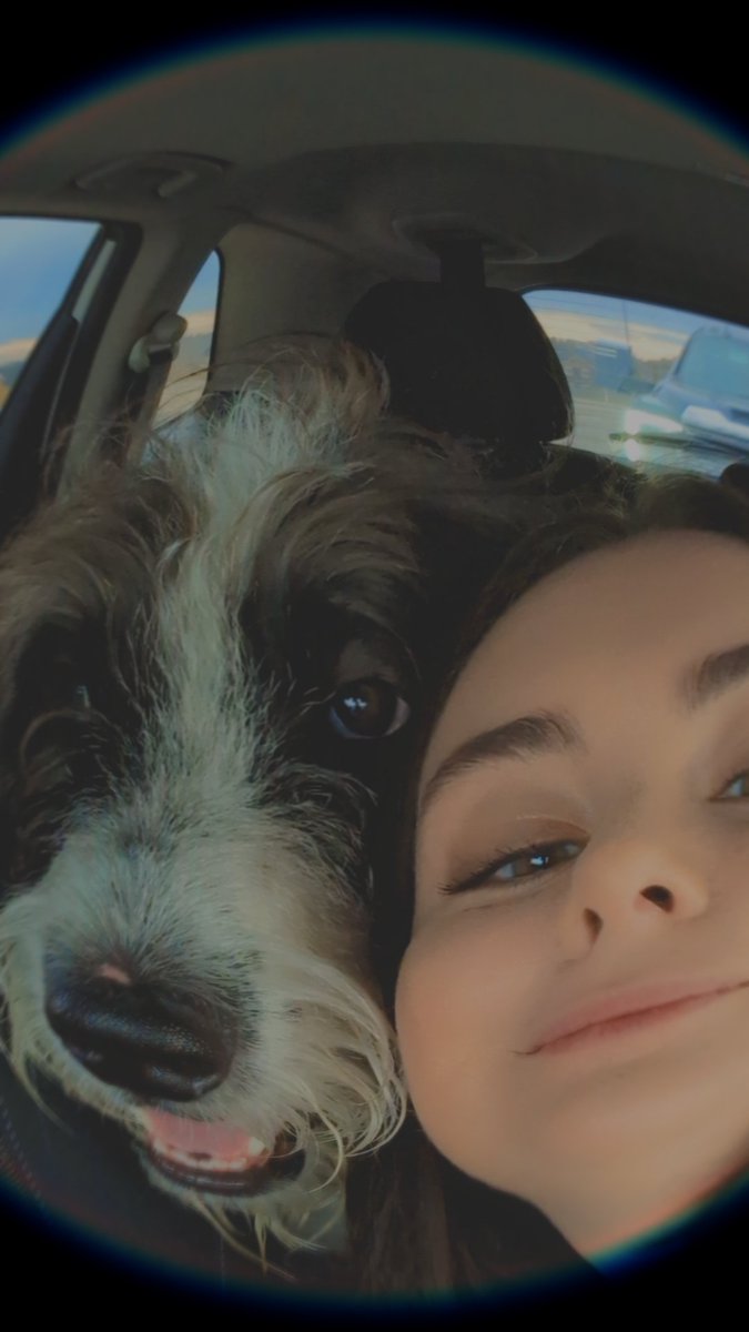 Mr Shot Cheese™ 🧀 tweet media