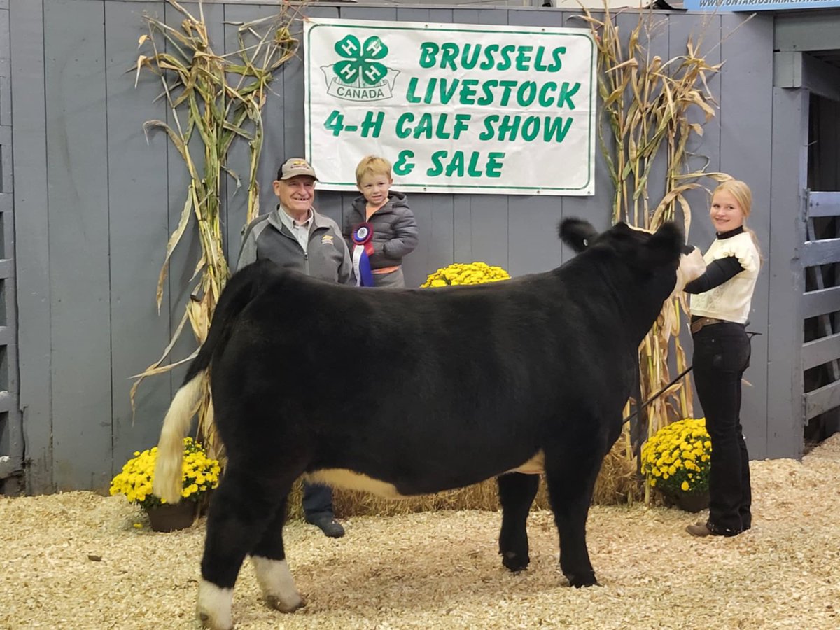 Successful weekend at Brussels 4H Market Show and Sale. A sincere thank you to Brindley’s Auction Services Ltd for the purchase of Madison’s animal and supporting youth in agriculture. It was a moment for the books when she was named grand champion #supportlocal