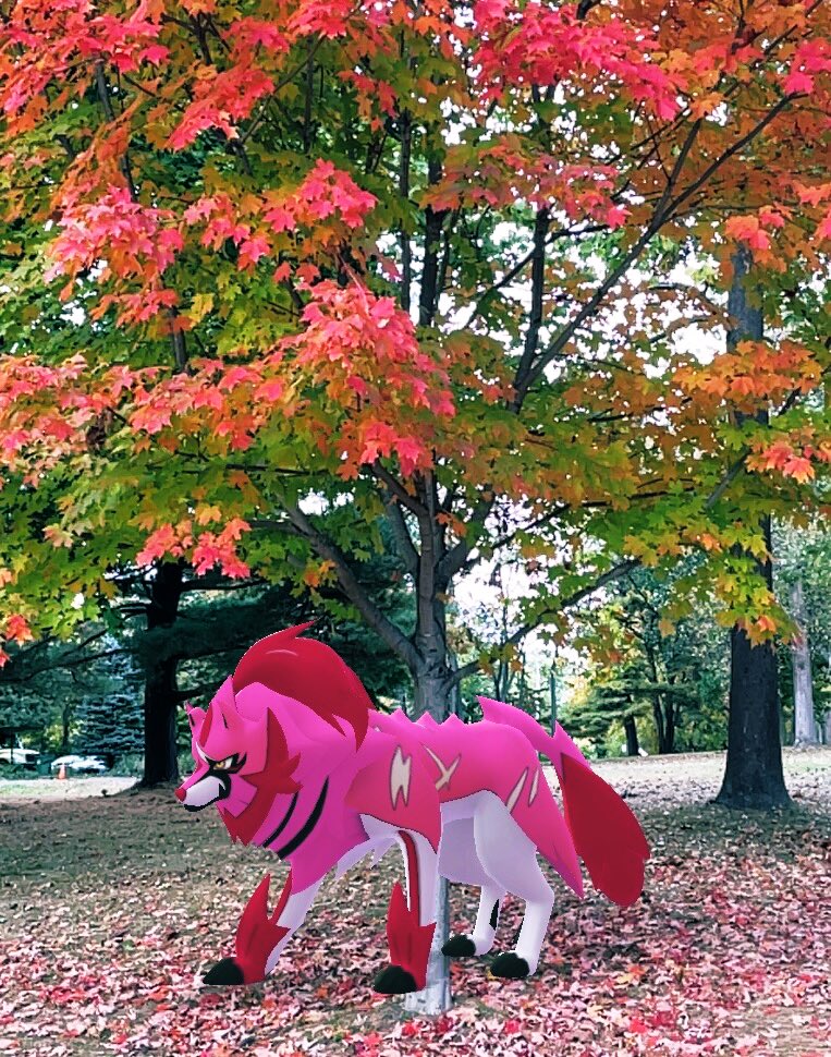 1lilt_nyc's tweet image. 秋真っ盛り🍂ニューヨーク
今週も無理せずゆる〜く楽しんでポケ活していきます。

Feel autumn🗽
#gengar #PokemonGO
#pokemonGOAR
#GOsnapshot
#GOsnapshotCelebration #zamazenta