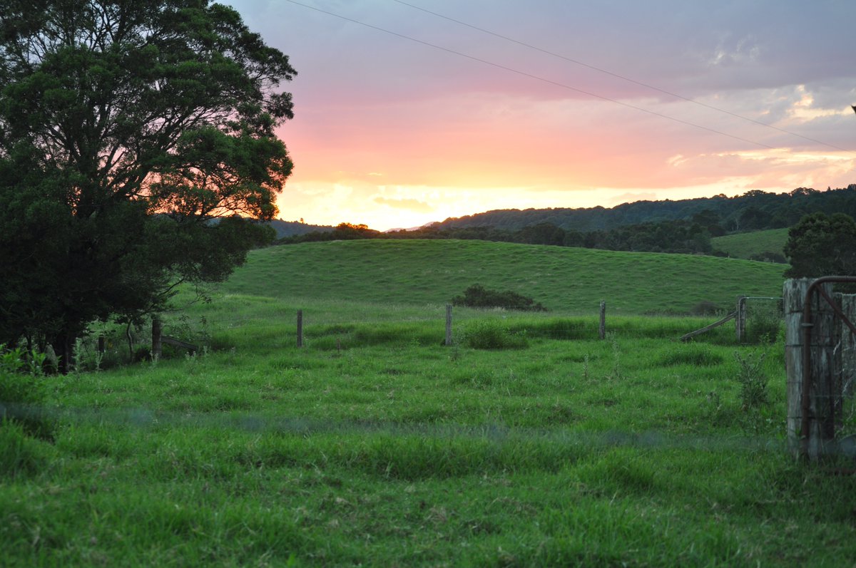 #agronomist#pasture
Join The BSM Pasture Nutrition Action Workshop 

For Adviser or Farm Manager seeking Professional Development.

Best practical experience backed by science; industry leaders David Harbison, Dr Chris Dowling.”

Details &amp; Register
hubs.ly/Q02TmT1l0