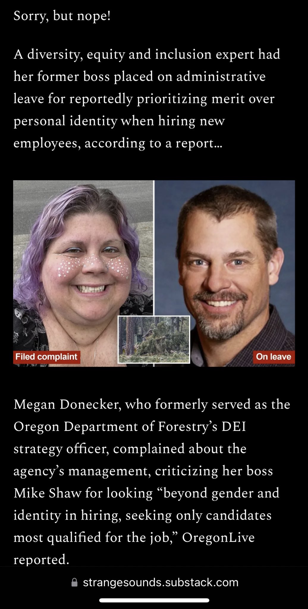 Donna Dammit on X: &ldquo;What happens when you hire based on merit 