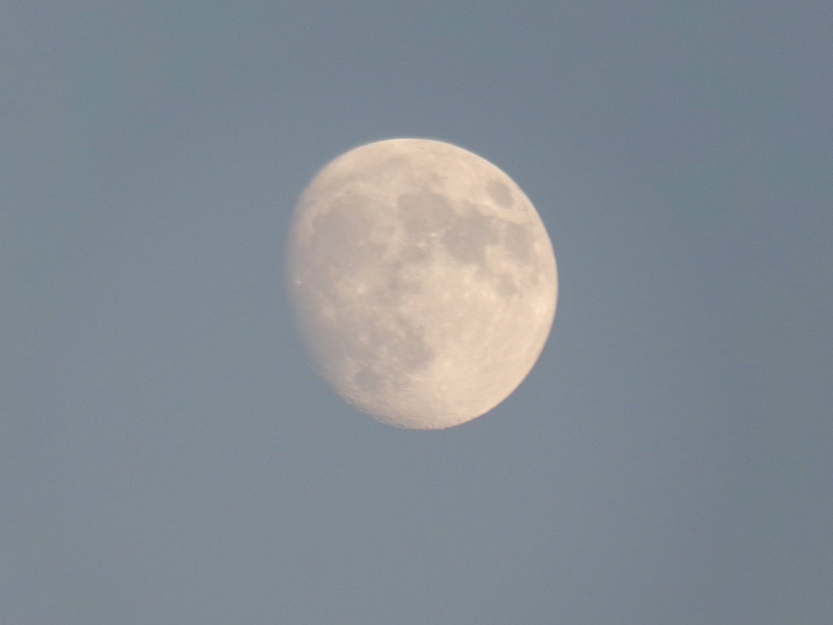 kimberlee tweet media