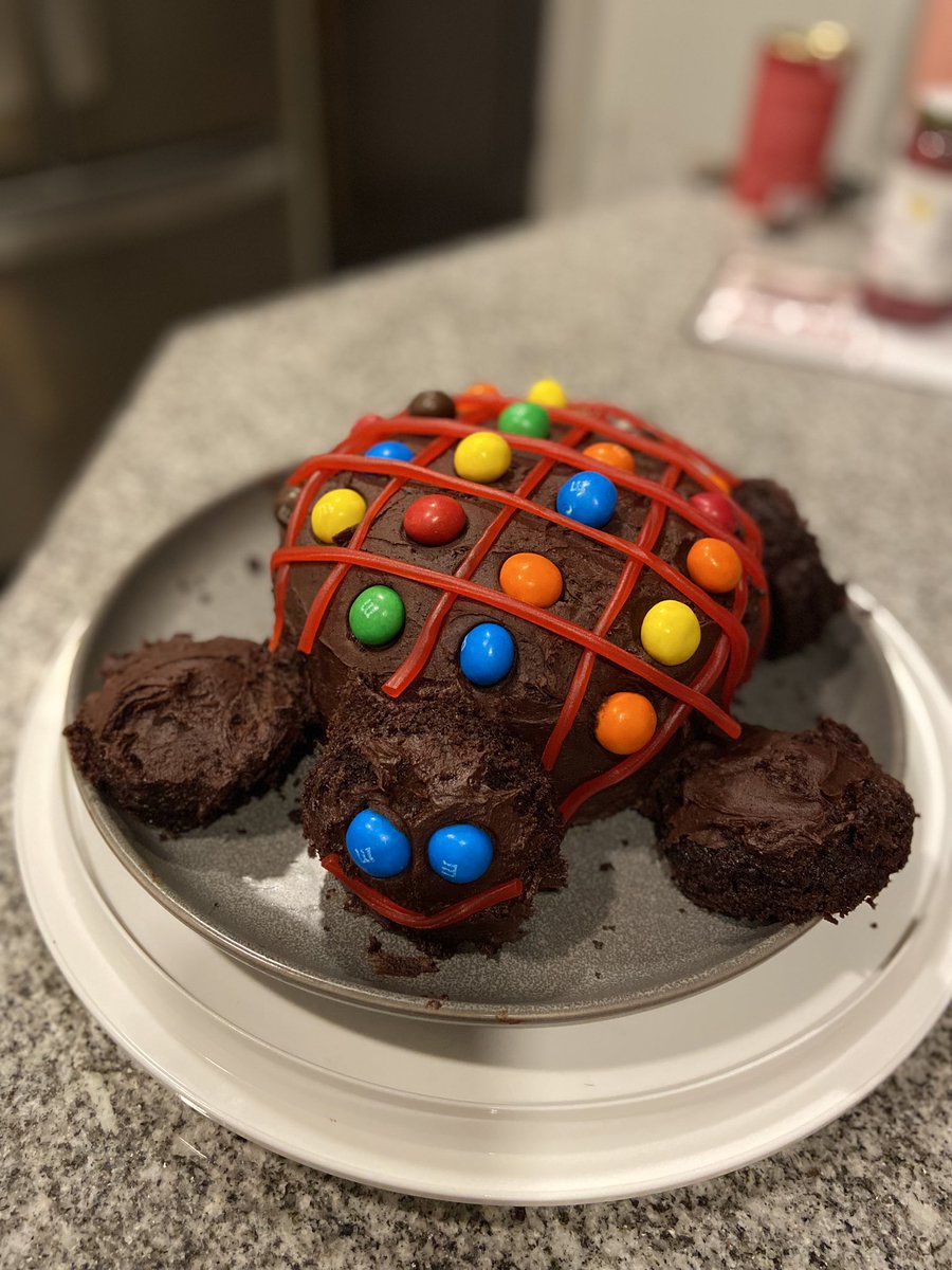 DylRasmussen's tweet photo. Not a proper birthday until you’ve had your Turtle Cake. @Blutman27 https://t.co/WFlUBofVvm