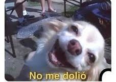 Camila Constanza T.S tweet media
