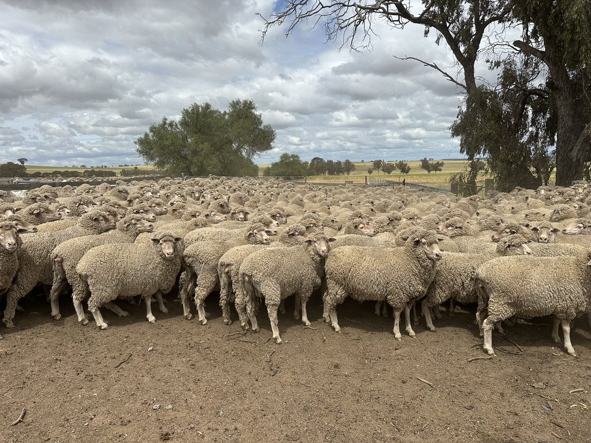 Sam West tweet media