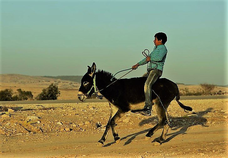 لسى مفكر حاله خيال !مافي مساحة او مقال او مداخلة من اصغر شخص إلى أكبرهم إلا ووضعتك انت والي معك في قالب الفتنة واظهرت حقيقة العفن الي معتليكم ، قًسما بمن احل القسم بانكم قاب قوسين او ادنى من دنو البساطير على كل رقبة عفنة شأنها هلاك هذه البلد، ابطال الديجيتال متبعرين المناصب، ميله
