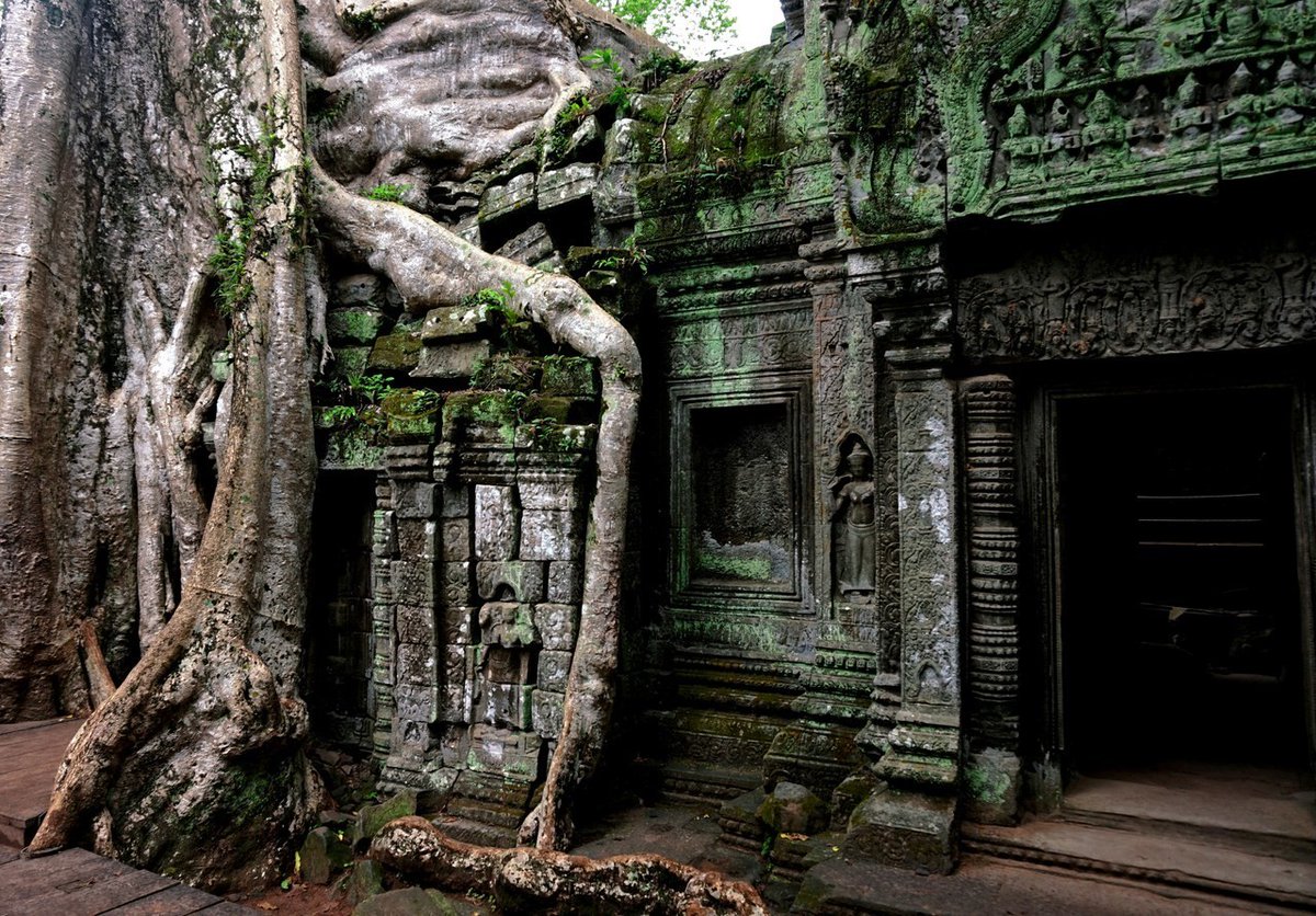 SSEAC (@seacsydney) on Twitter photo 📆📢🇰🇭Gardens of the Apocalypse: what happens after collapse?
Prof. Dan Penny | Chau Chak Wing Museum
22 October 2024 | 5:00pm doors for 5:30pm
events.humanitix.com/2024-st-lee-le…
<a href="/ccwm_sydney/">Chau Chak Wing Museum</a> <a href="/Sydney_Uni/">University of Sydney</a> <a href="/ArtSS_Sydney/">Faculty of Arts and Social Sciences</a> <a href="/UsydSoH/">usyd_humanities</a> #Archaeology #Geosciences #Cambodia 📆📢🇰🇭Gardens of the Apocalypse: what happens after collapse?
Prof. Dan Penny | Chau Chak Wing Museum
22 October 2024 | 5:00pm doors for 5:30pm
events.humanitix.com/2024-st-lee-le…
<a href="/ccwm_sydney/">Chau Chak Wing Museum</a> <a href="/Sydney_Uni/">University of Sydney</a> <a href="/ArtSS_Sydney/">Faculty of Arts and Social Sciences</a> <a href="/UsydSoH/">usyd_humanities</a> #Archaeology #Geosciences #Cambodia