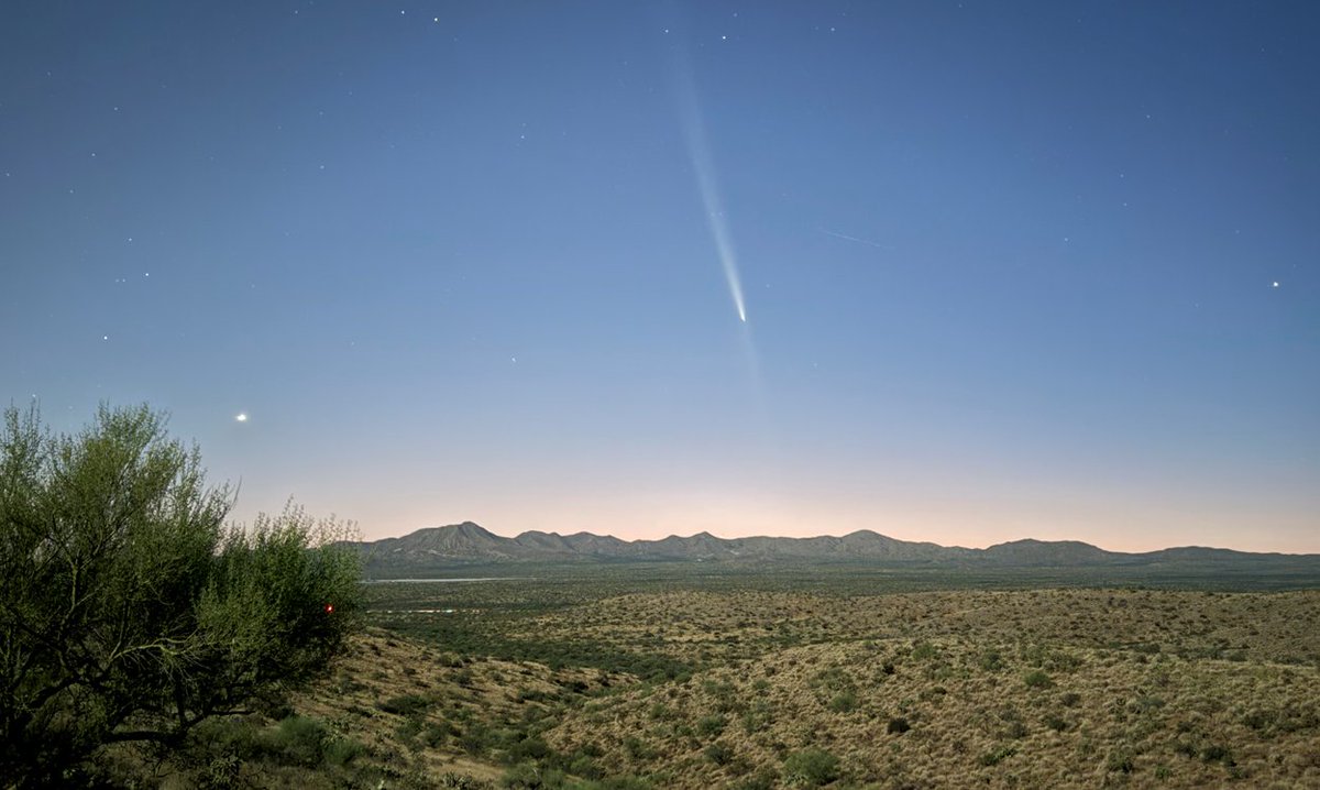 DanMarriesKOLD's tweet photo. Jimmy Pastore captured this shot of a #comet named C/2023 Ag Tsuchinshan-ATLAS this evening. NASA says from Oct. 14 to Oct. 26 is the best time to observe the comet but today and tomorrow are the best to see it at its brightest. #Tucson https://t.co/chSxFNnMeR