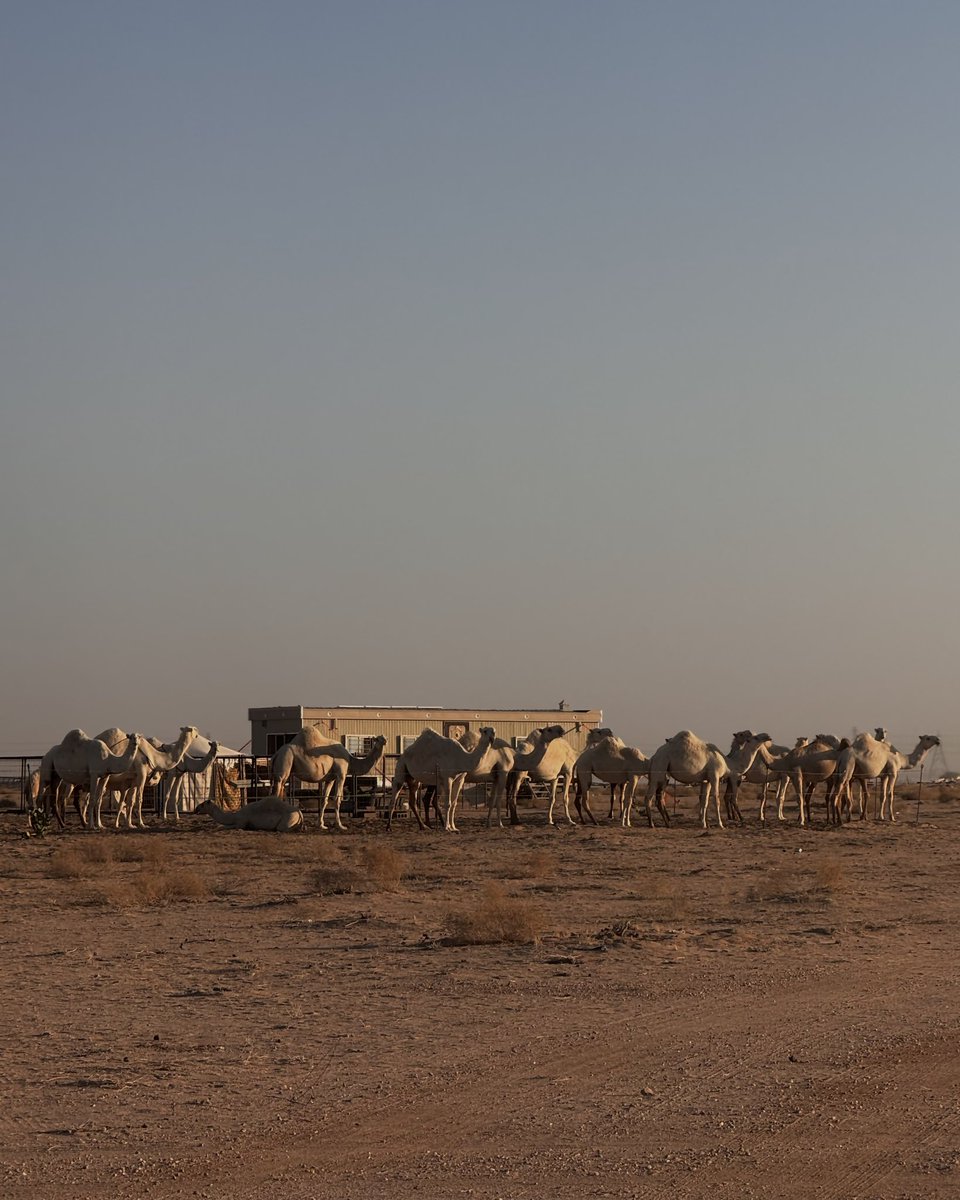 BlIIll's tweet image. 7:00 ص