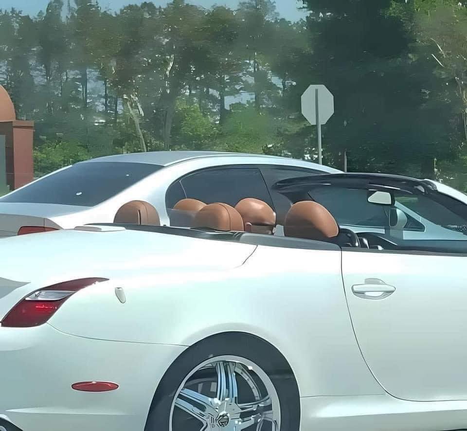 Borrachos V.I.P tweet media