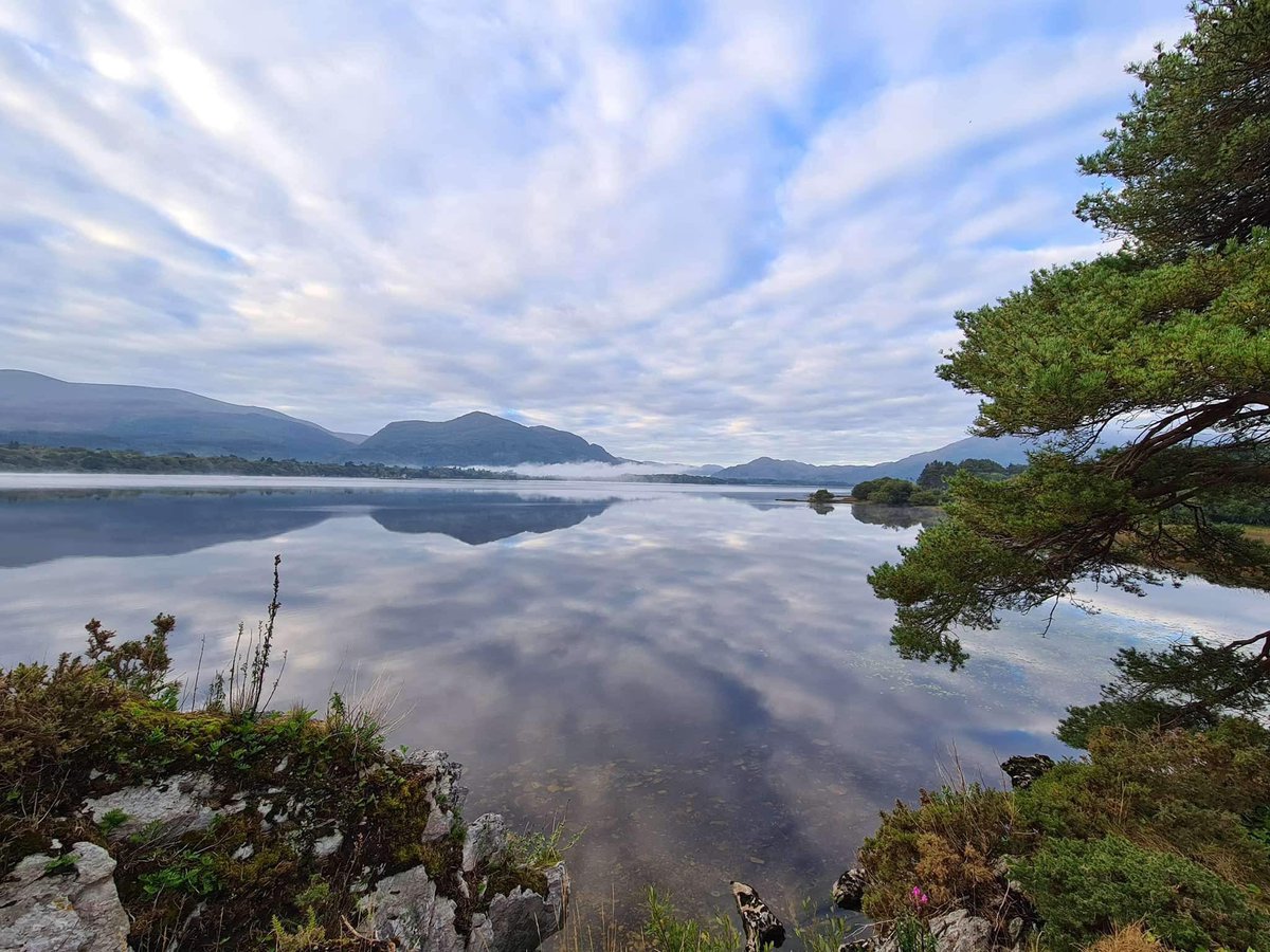 LakeHotel's tweet photo. Just look at those reflections ๐โค๏ธ We really are so blessed with our stunning lake views โจ
#surroundedbynature #lakeviews #escapetothelake #autumnbreaks #winterbreaks #lovekillarney #experiencekerry #staycation https://t.co/ppneQFanOn