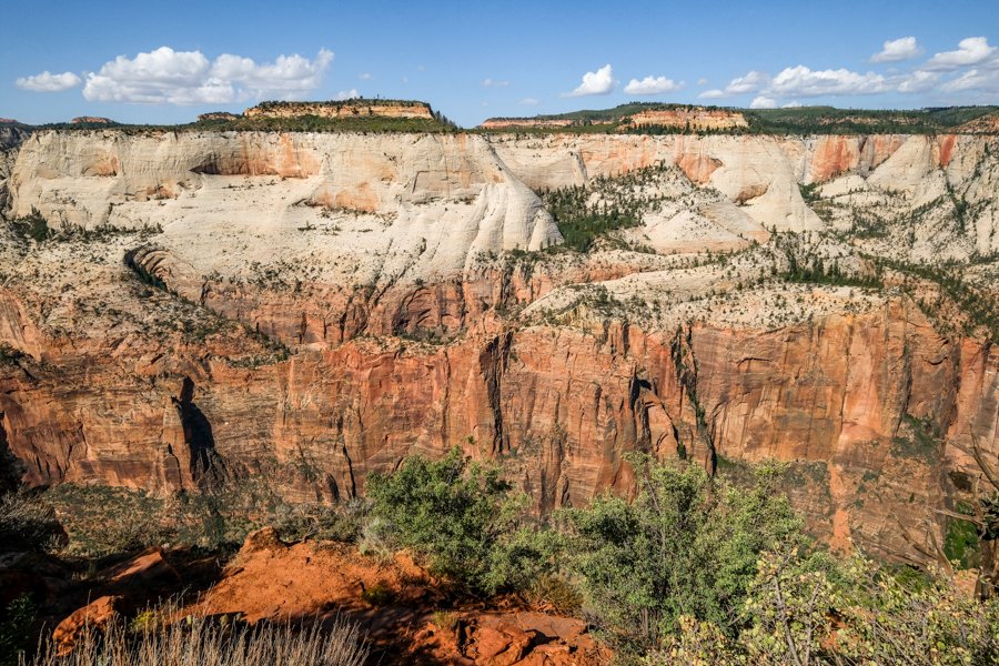 Roamin_Routes's tweet photo. The East Mesa Trail to Observation Point is an easy, mostly flat hike with some descent near the end. Pine trees provide occasional shade, and after about an hour, you'll get stunning views of Zion Canyon. The best views await at the top!
#Zion #Hiking #ObservationPoint https://t.co/8zkTA7OIJ4