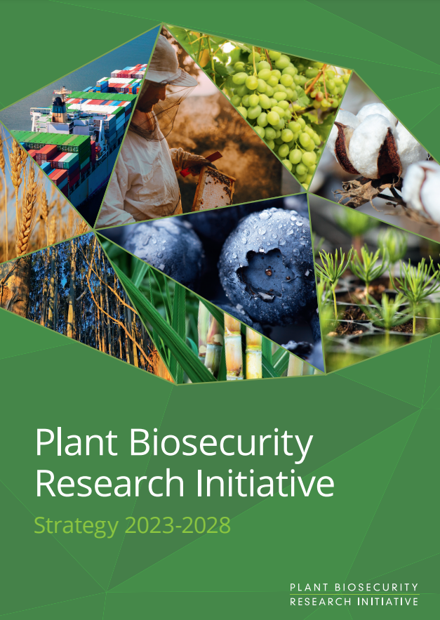 Euphresco network (@euphresco) on Twitter photo The <a href="/PBRI_Australia/">Plant Biosecurity Research Initiative</a> Strategy will help to shape the global #PlantHealth research agenda within #EUPHRESCOIII🌏With four key R&D focus areas, it will guide future <a href="/PBRI_Australia/">Plant Biosecurity Research Initiative</a> collaboration & co-investment across plant industries🇦🇺🌱🔬🌾
🔗tinyurl.com/4576snch
#Biosecurity The <a href="/PBRI_Australia/">Plant Biosecurity Research Initiative</a> Strategy will help to shape the global #PlantHealth research agenda within #EUPHRESCOIII🌏With four key R&D focus areas, it will guide future <a href="/PBRI_Australia/">Plant Biosecurity Research Initiative</a> collaboration & co-investment across plant industries🇦🇺🌱🔬🌾
🔗tinyurl.com/4576snch
#Biosecurity
