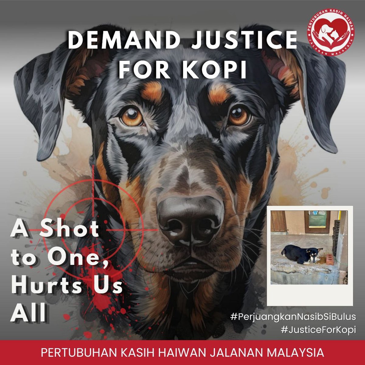 #JusticeForKopi

Insiden yang menimpa Kopi turut menjadi luka buat seluruh warga dan ahli Pertubuhan Kasih Haiwan Jalanan Malaysia. Kopi adalah bukan haiwan jalanan yang pertama mendapat hukuman sebegitu. Nyawa mereka dipandang enteng hanya kerana title Jalanan yang mereka