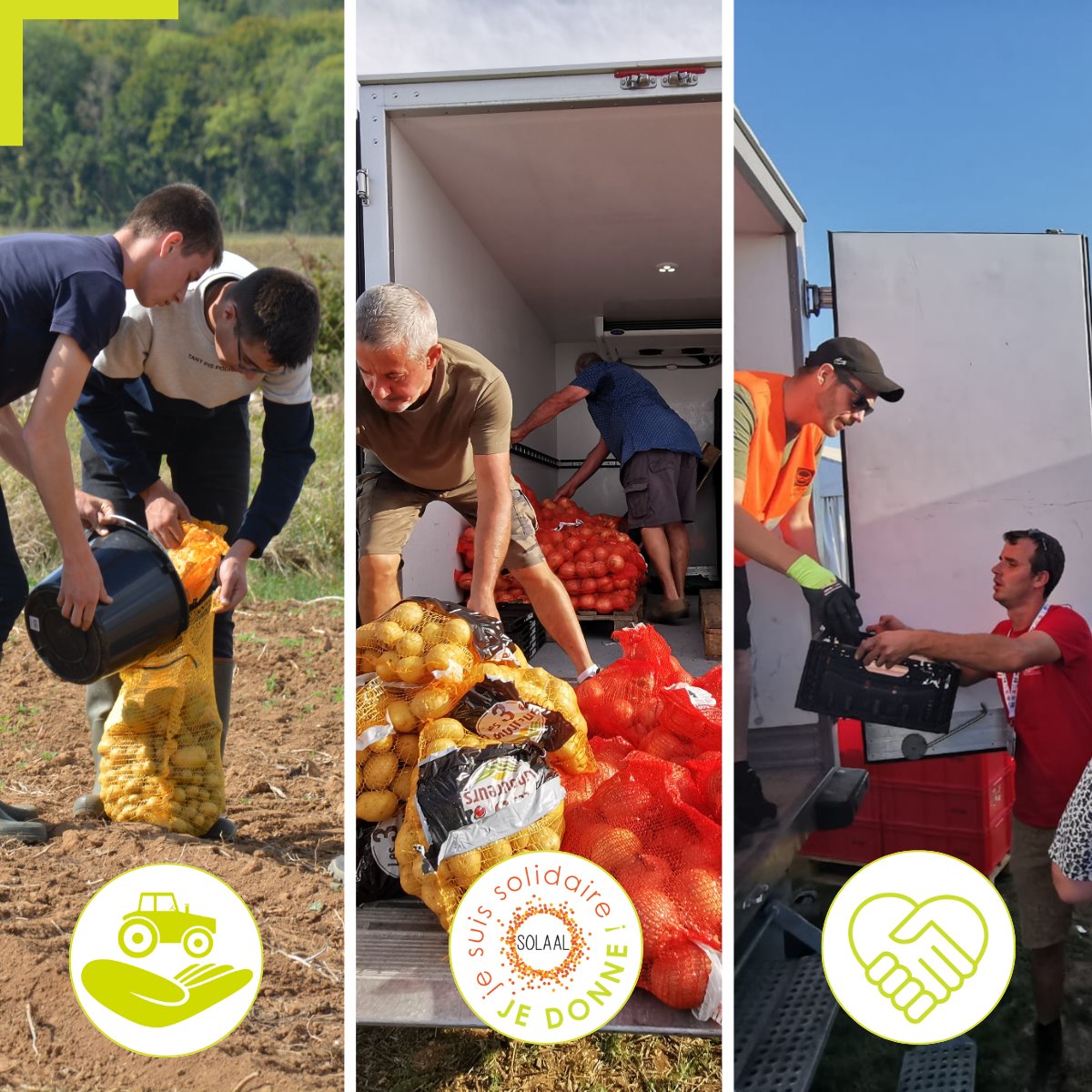 🌍🤝 Pour la Journée internationale pour l'élimination de la pauvreté, merci aux agriculteurs solidaires !

SOLAAL contribue à l'alimentation de 4 millions de personnes démunies via 1 261 antennes d’associations d’aide alimentaire habilitées, avec les dons des agriculteurs.