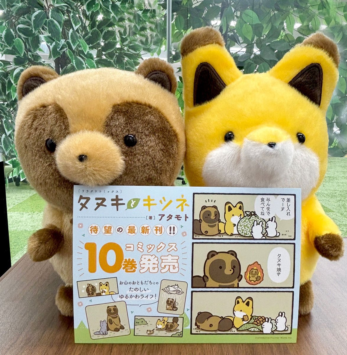 tanu_kitsu's tweet photo. コミックス10巻
本日発売！

#タヌキとキツネ https://t.co/n8NAIH5rW1