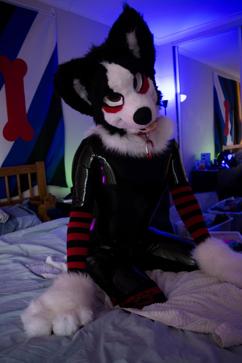 Pup Smudge tweet media