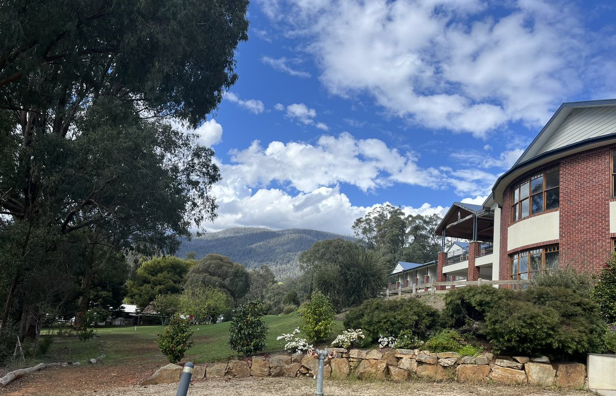 Teresa Bonello tweet media