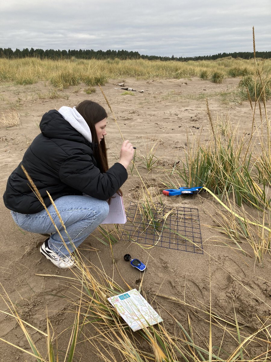 Day 2 AH Geographers (and Miss Glen) at Tentsmuir - sand dune succession #welovegeography <a href="/DennyHighSchool/">Denny High School</a>
