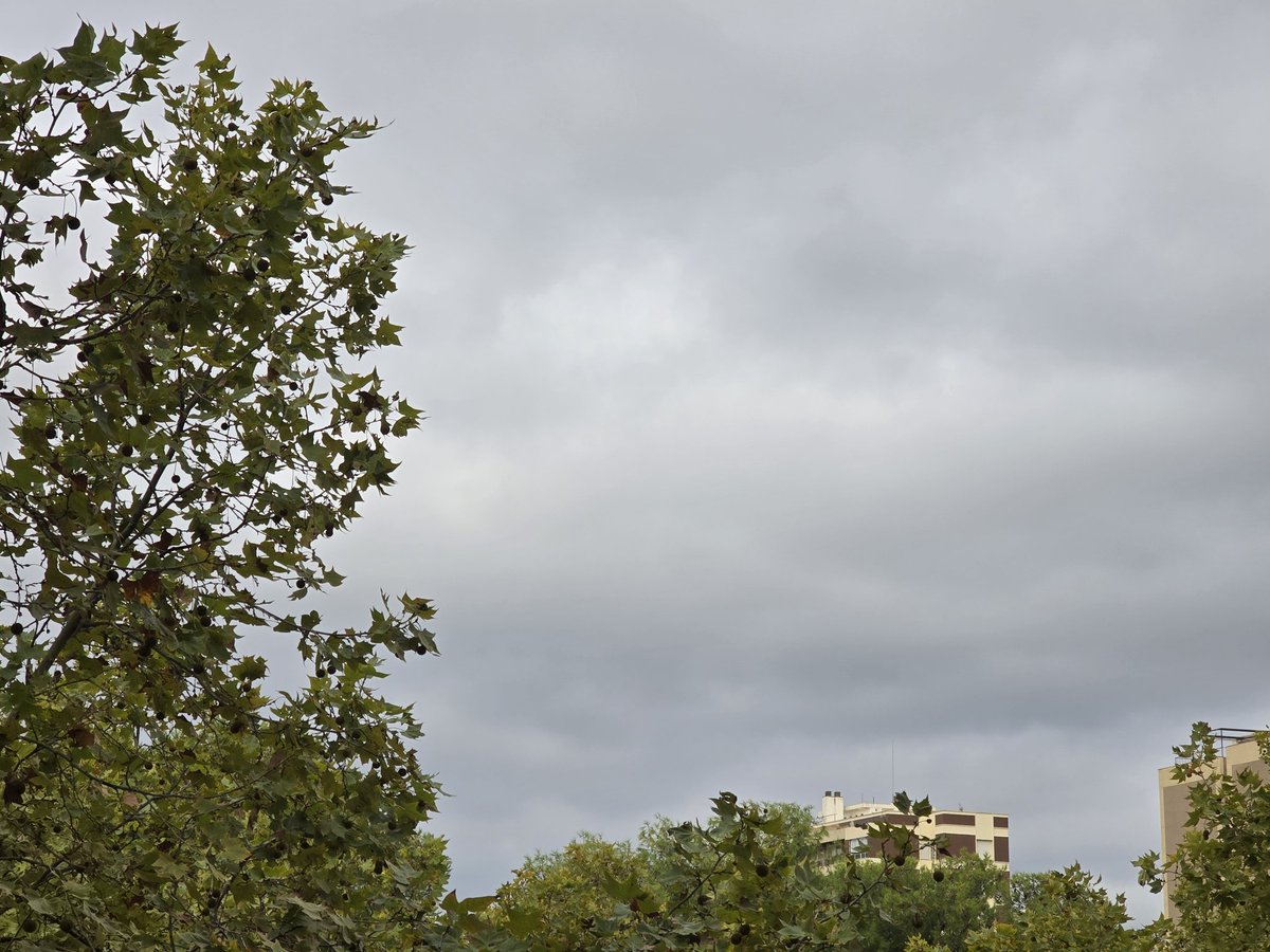 gramareus's tweet photo. 22°C,humitat del 78%
Cel completament tapat!!🌫🌫
#reus #celgris #xafogor #sky
@1967fct @StormHour @JRovireta @ecazatormentas @SeguimlaMeteo @SomosMeteo @javioru @Alex_MeteoM #GoodMorning https://t.co/Ms89bbyxRO