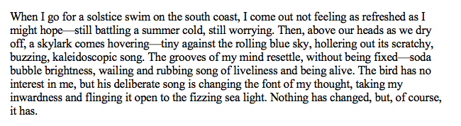 Katie da Cunha Lewin tweet media