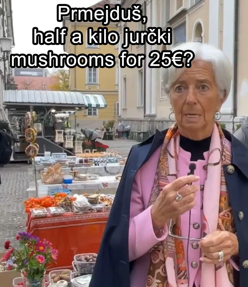 DG MEME 🇪🇺 tweet media